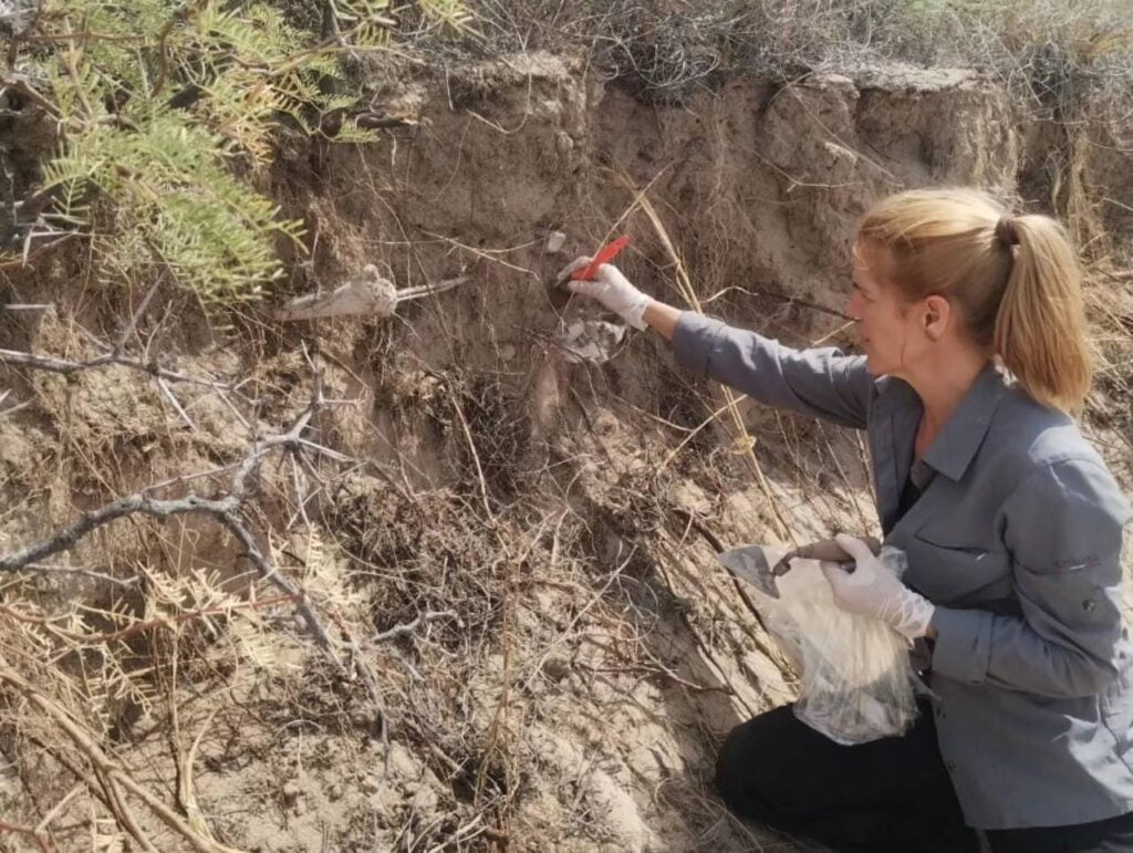 Hallazgo Arqueológico en Playas Doradas Revela Restos Humanos de hasta 6,000 Años de Antigüedad 1